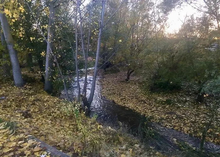 El Carro Del Abuelo *