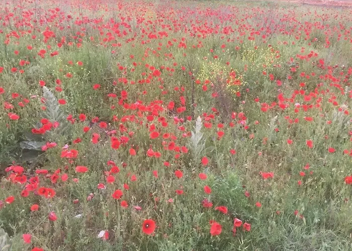Сasa de vacaciones El Carro Del Abuelo Villovela de Pirón