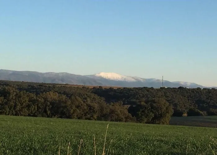 El Carro Del Abuelo Сasa de vacaciones