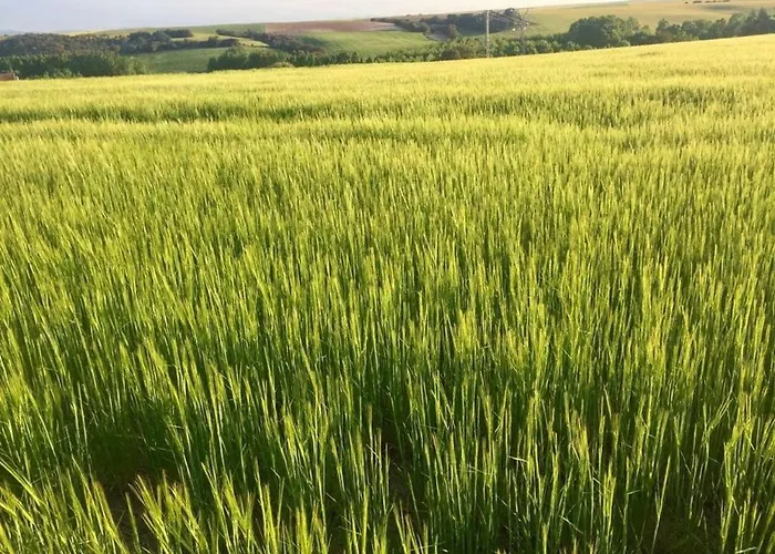 El Carro Del Abuelo * Villovela de Pirón