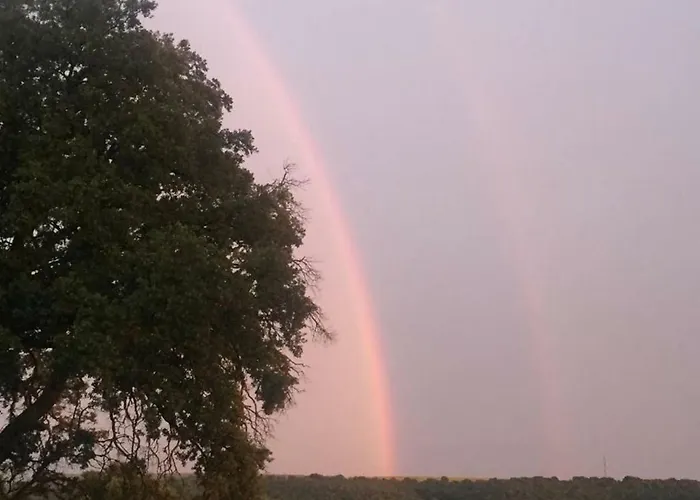 El Carro Del Abuelo Villovela de Pirón