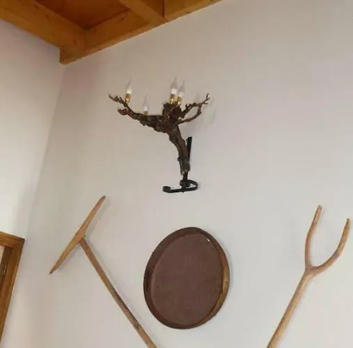 El Carro Del Abuelo *